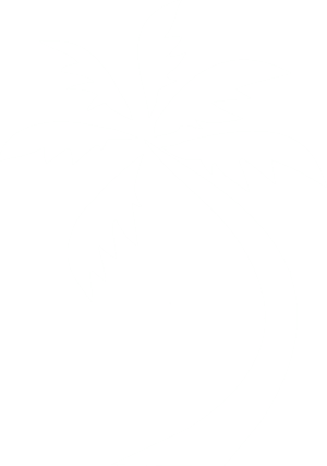 White Palm Tree